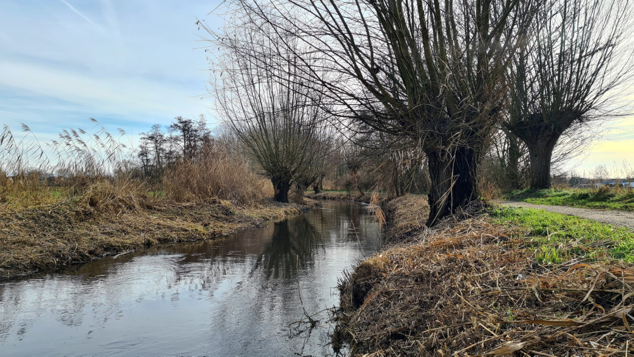 Neujahrsrunde - fast wie im Frühling